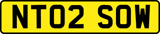 NT02SOW