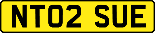 NT02SUE