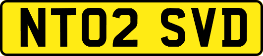 NT02SVD