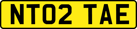 NT02TAE