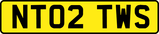NT02TWS