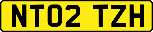 NT02TZH