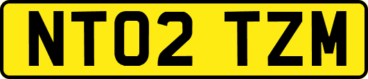 NT02TZM