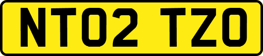NT02TZO