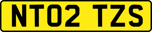 NT02TZS