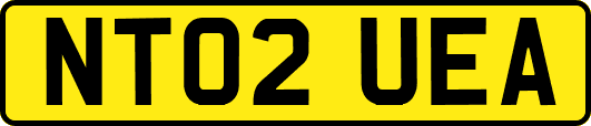 NT02UEA