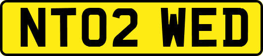 NT02WED