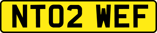 NT02WEF