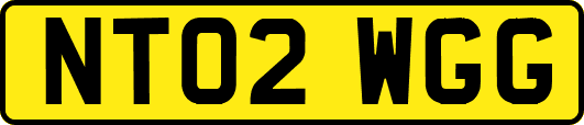 NT02WGG