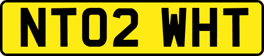 NT02WHT