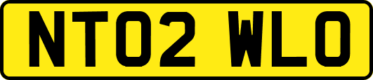 NT02WLO