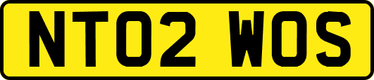 NT02WOS