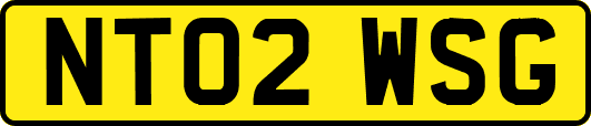 NT02WSG