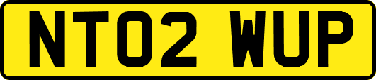 NT02WUP