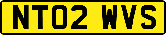 NT02WVS