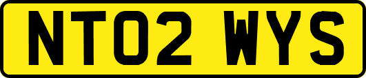 NT02WYS