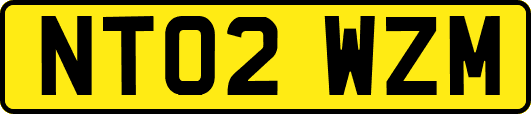 NT02WZM