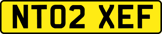 NT02XEF