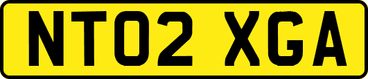 NT02XGA