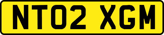 NT02XGM