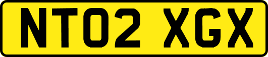 NT02XGX