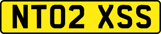 NT02XSS