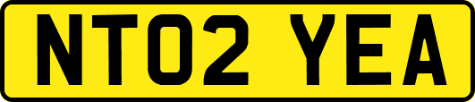 NT02YEA