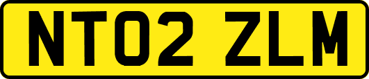 NT02ZLM