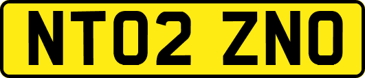 NT02ZNO