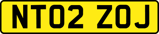 NT02ZOJ