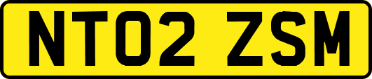 NT02ZSM