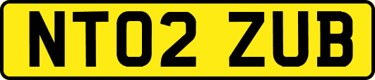 NT02ZUB