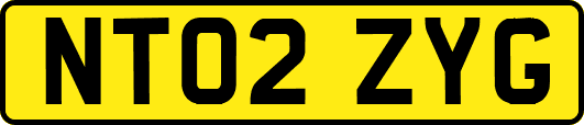 NT02ZYG