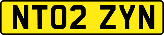 NT02ZYN