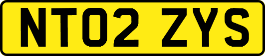NT02ZYS