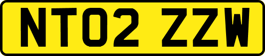 NT02ZZW
