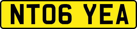 NT06YEA