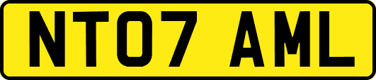 NT07AML