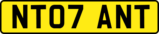 NT07ANT