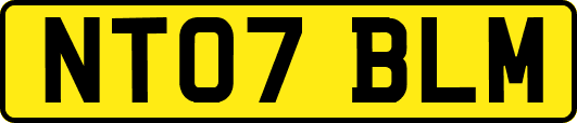 NT07BLM