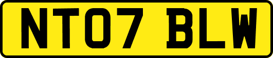 NT07BLW