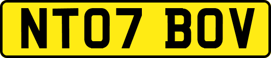 NT07BOV