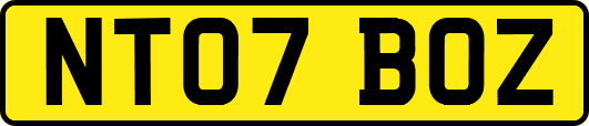 NT07BOZ