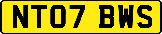 NT07BWS