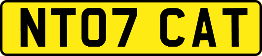 NT07CAT
