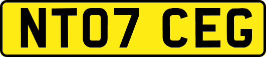 NT07CEG