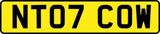 NT07COW