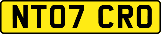 NT07CRO
