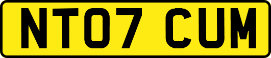 NT07CUM