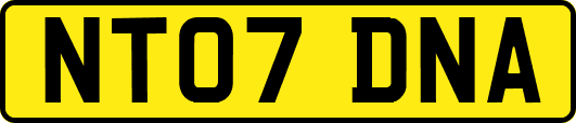 NT07DNA